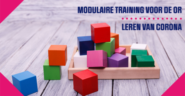 modulaire training medezeggenschap